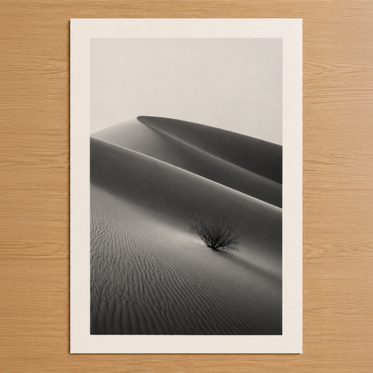 Siyah beyaz çöl dünü tablosu, minimalist estetikle yalnız bir çalı detayı içeren sanat poster