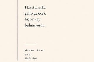 Bej Siyah Mehmet Rauf Alıntı Minimalist Duvar Tablosu