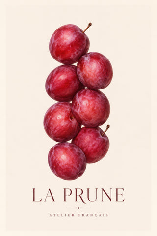 Kırmızı Bordo Erik Botanik Minimalist Duvar Tablosu