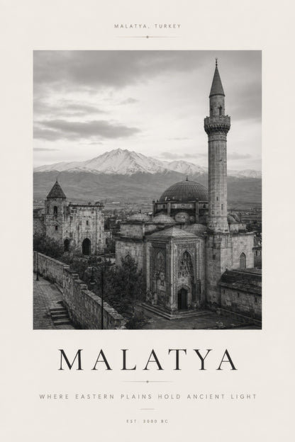 Gri Beyaz Malatya Tarihi Cami Manzarası Siyah Beyaz Duvar Tablosu