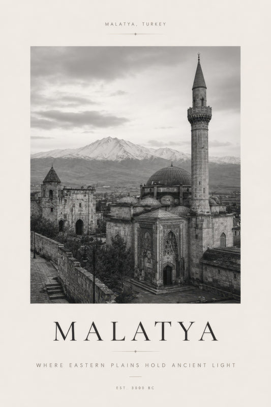 Gri Beyaz Malatya Tarihi Cami Manzarası Siyah Beyaz Duvar Tablosu
