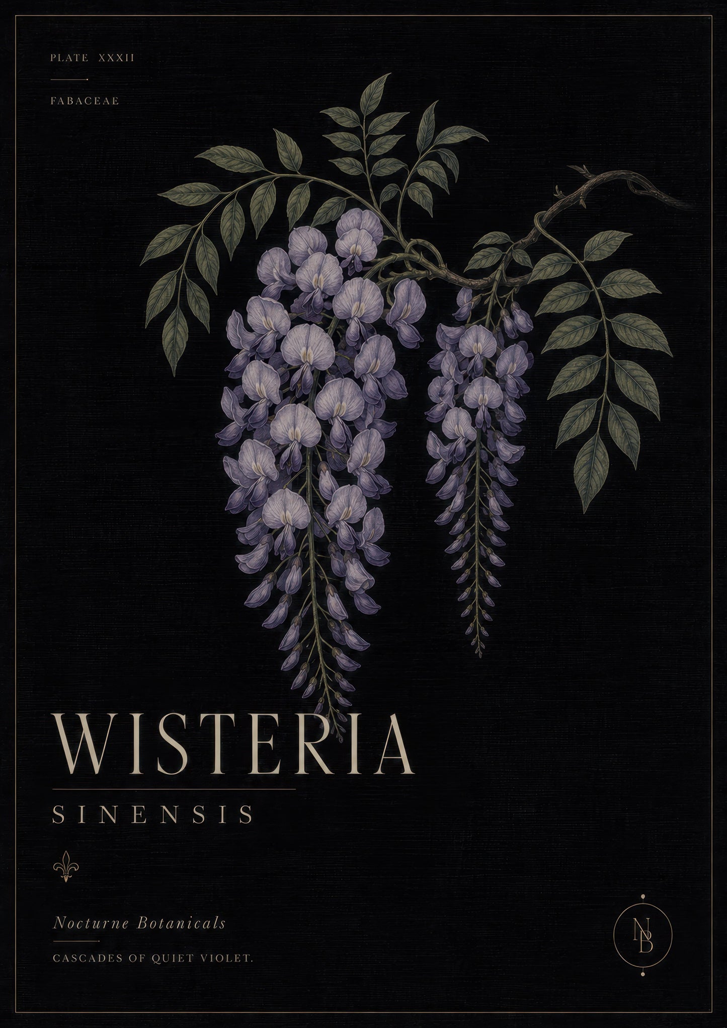 Mor Yeşil Wisteria Çiçeği Botanik Duvar Tablosu