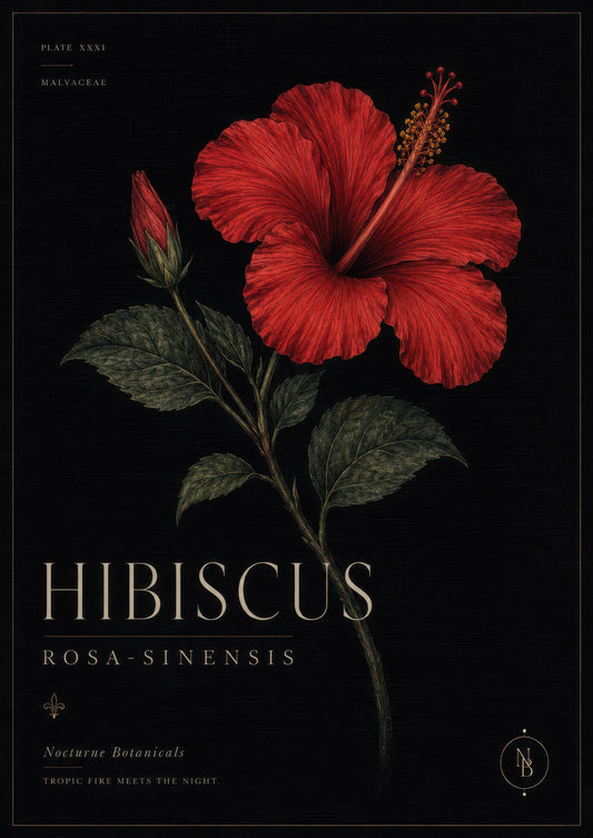Kırmızı Yeşil Hibiscus Çiçeği Botanik Duvar Tablosu