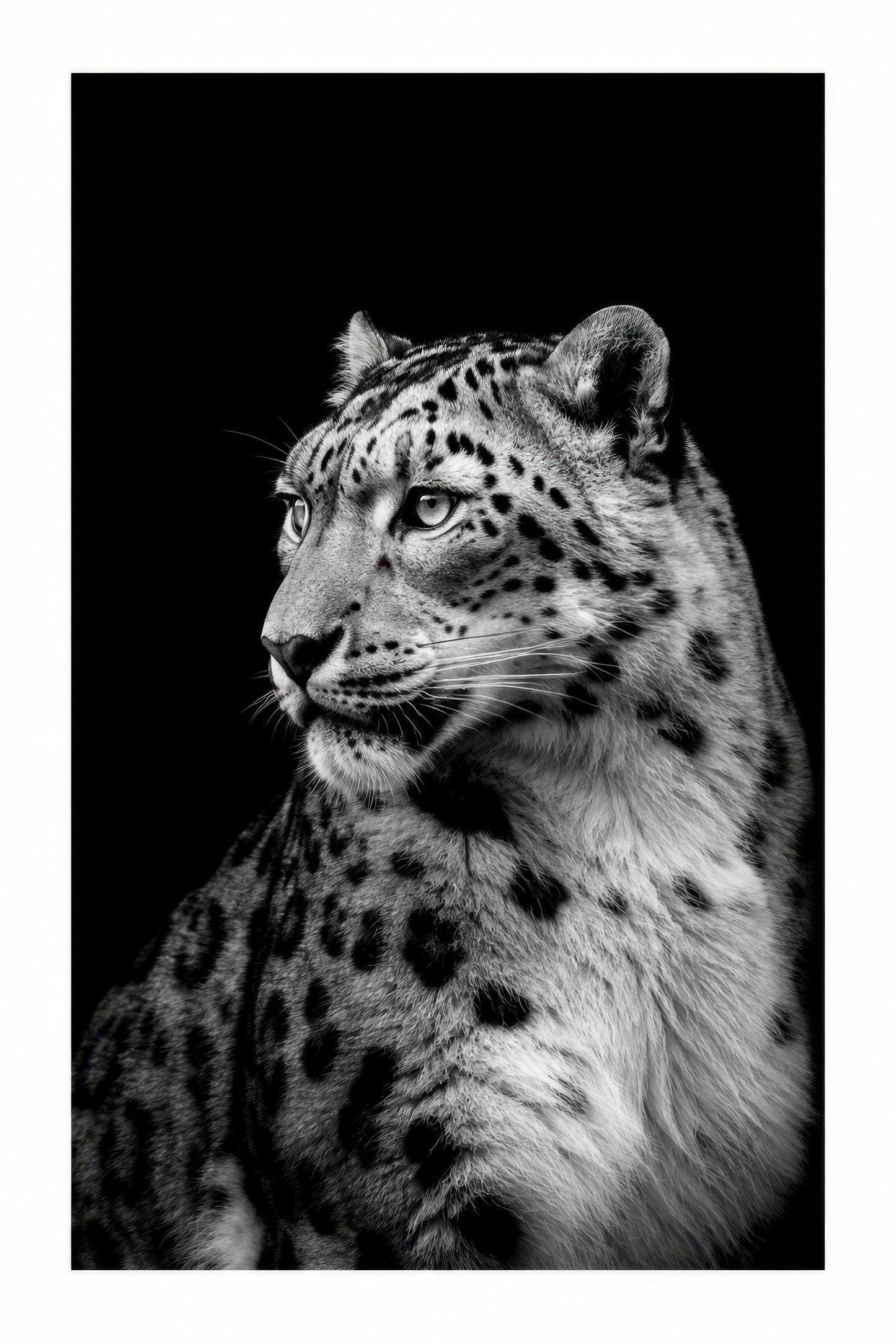 Siyah Beyaz Kar Leoparı Portre Soyut Duvar Tablosu
