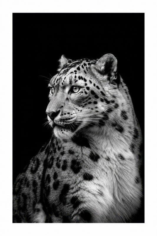 Siyah Beyaz Kar Leoparı Portre Soyut Duvar Tablosu