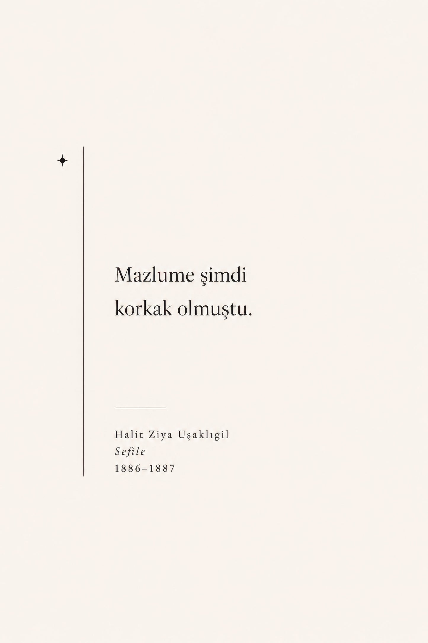 Bej Siyah Halit Ziya Uşaklıgil Alıntı Minimalist Duvar Tablosu
