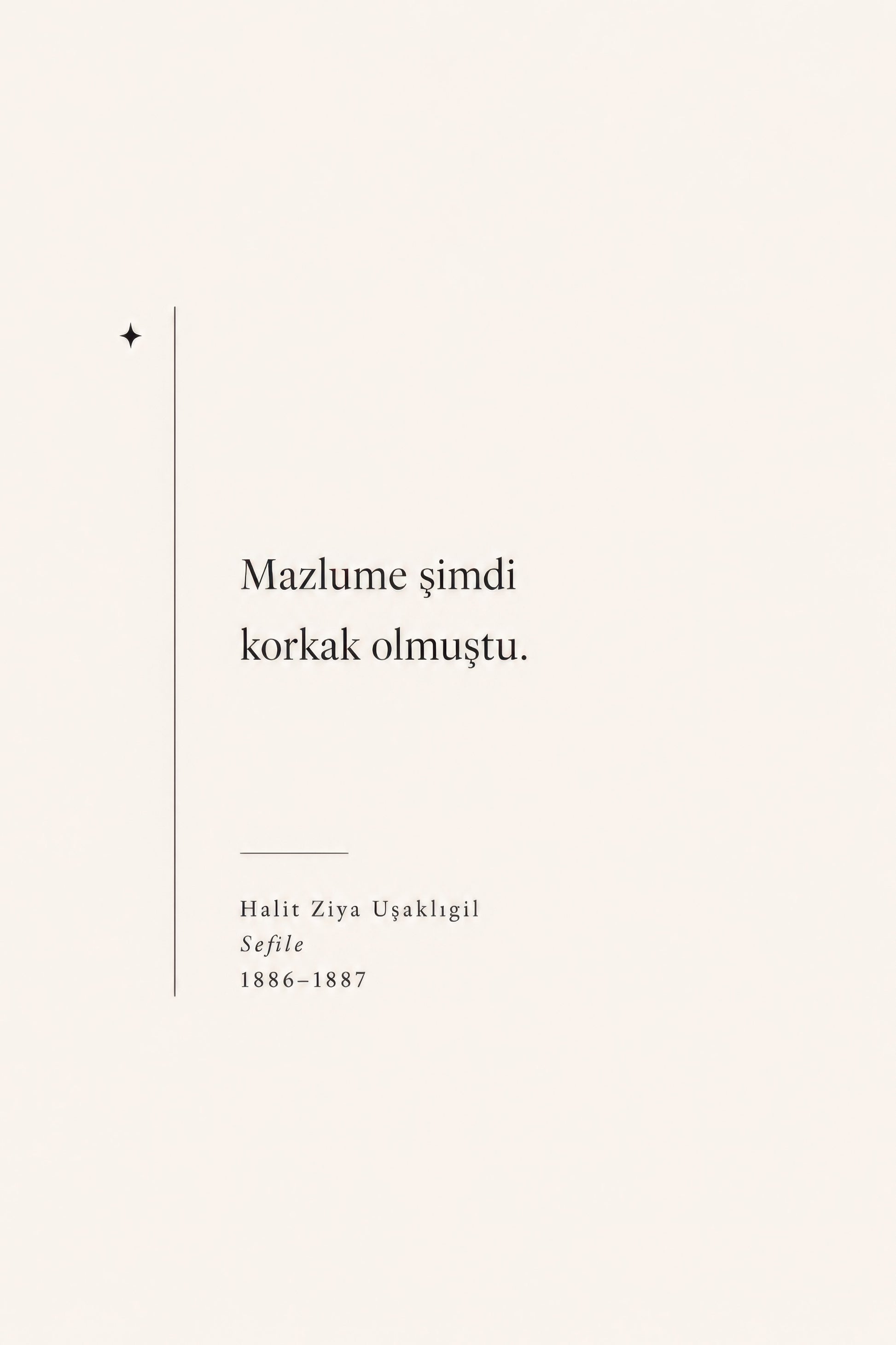 Bej Siyah Halit Ziya Uşaklıgil Alıntı Minimalist Duvar Tablosu