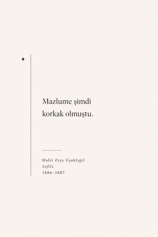 Bej Siyah Halit Ziya Uşaklıgil Alıntı Minimalist Duvar Tablosu