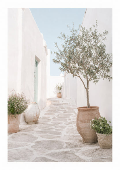 Beyaz Zeytin Yeşili Akdeniz Sokağı Minimalist Duvar Tablosu
