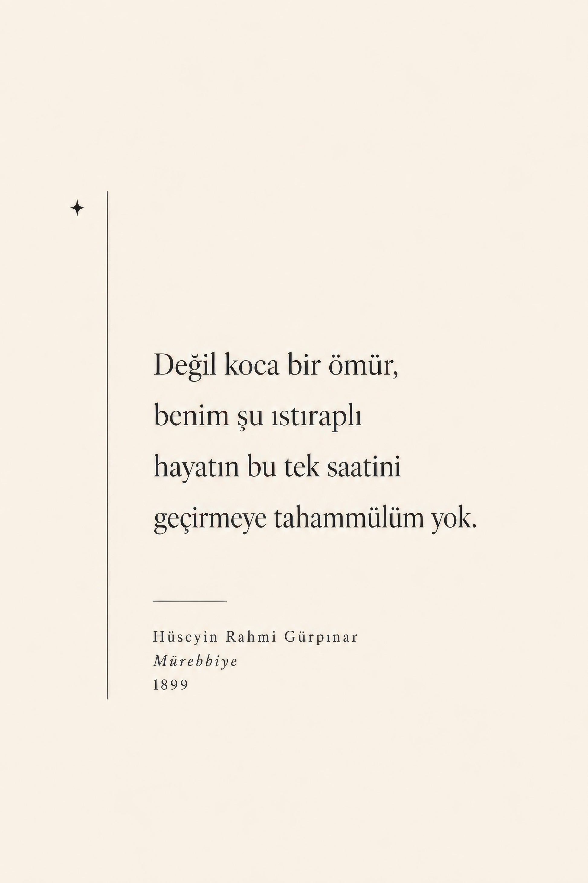 Bej Siyah Hüseyin Rahmi Gürpınar Alıntısı Edebiyat Duvar Tablosu