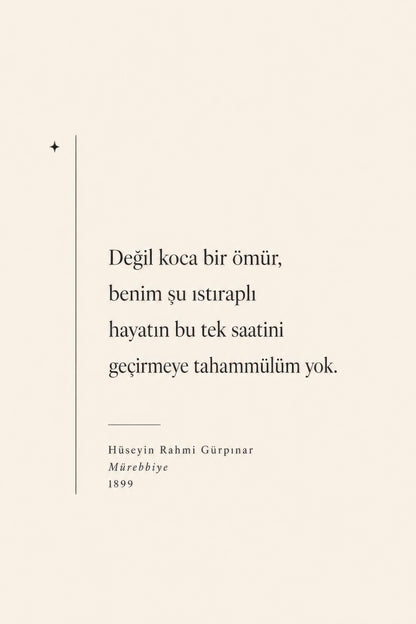Bej Siyah Hüseyin Rahmi Gürpınar Alıntısı Edebiyat Duvar Tablosu