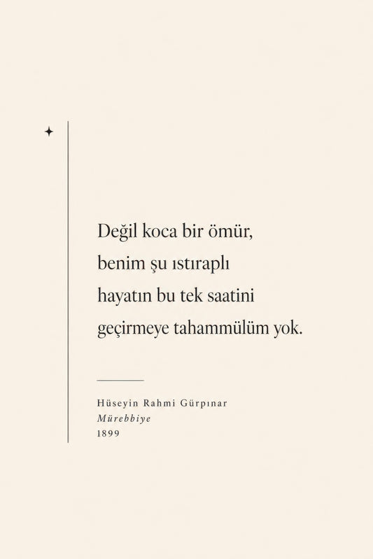 Bej Siyah Hüseyin Rahmi Gürpınar Alıntısı Edebiyat Duvar Tablosu