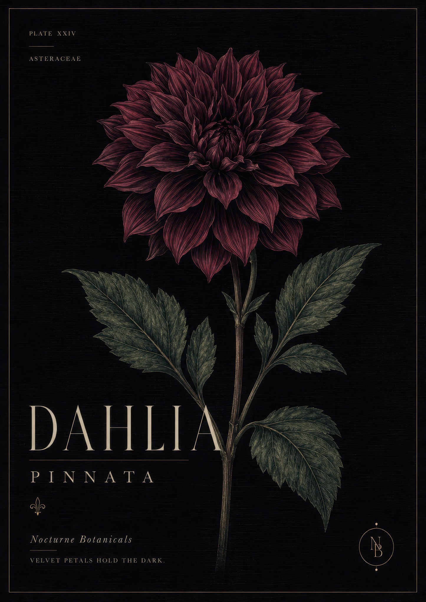 Bordo Yeşil Dahlia Çiçeği Botanik Duvar Tablosu
