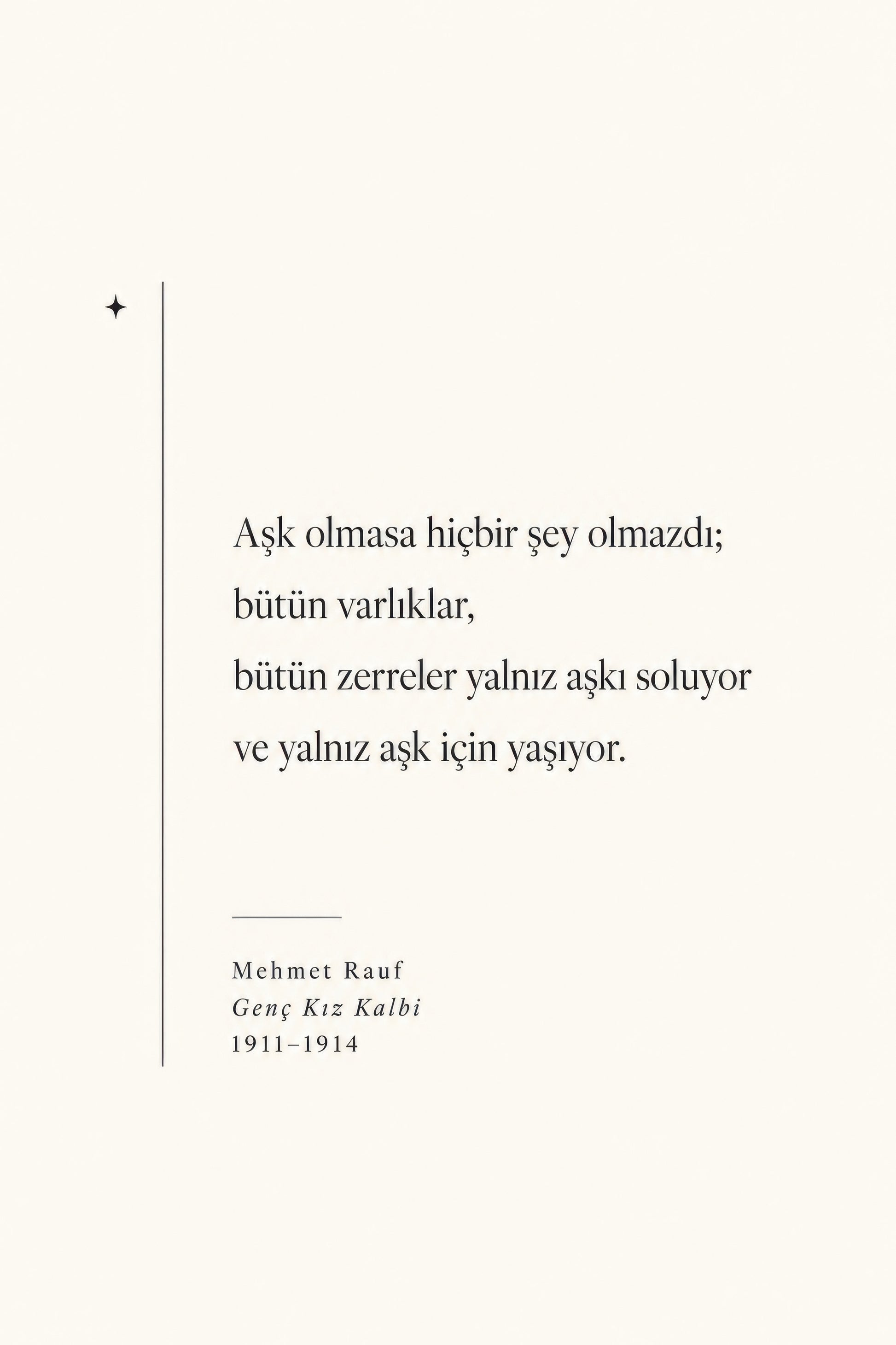 Krem Siyah Mehmet Rauf Edebiyat Alıntısı Minimalist Duvar Tablosu