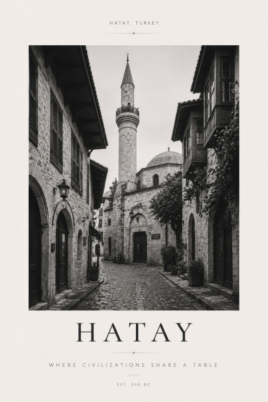 Siyah Beyaz Hatay Tarihi Mimari Sokak Manzarası Duvar Tablosu