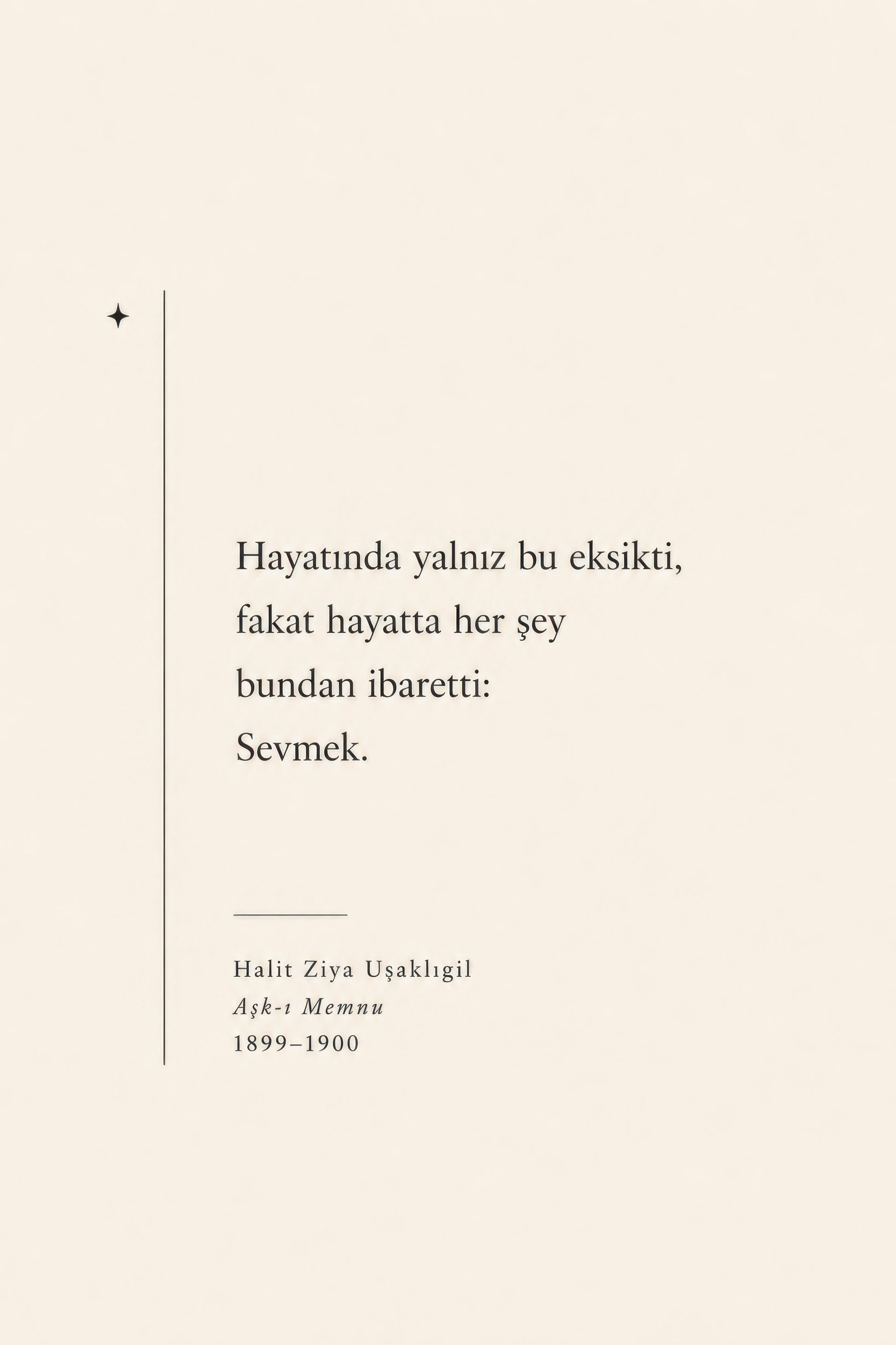 Krem Bej Halit Ziya Uşaklıgil Aşk-ı Memnu Alıntı Minimalist Duvar Tablosu