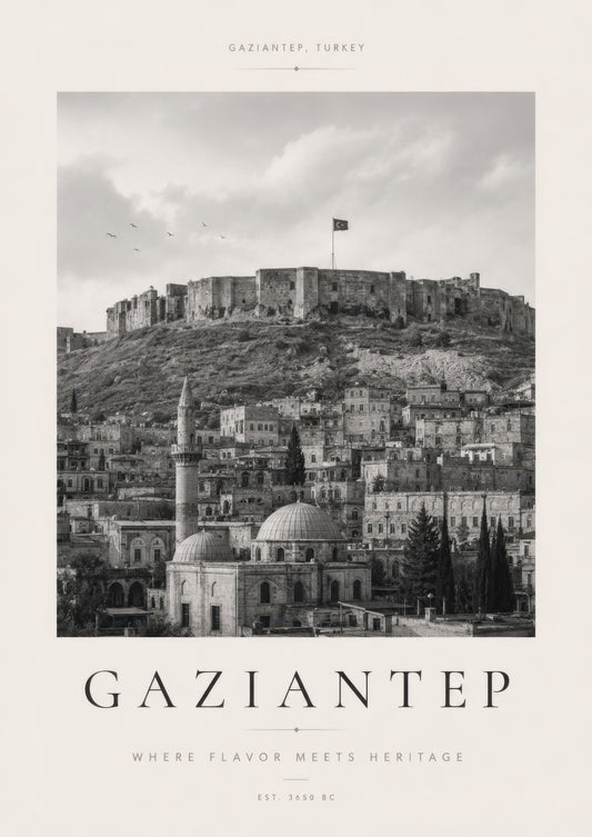Siyah Beyaz Gaziantep Kalesi Tarihi Mimari Duvar Tablosu