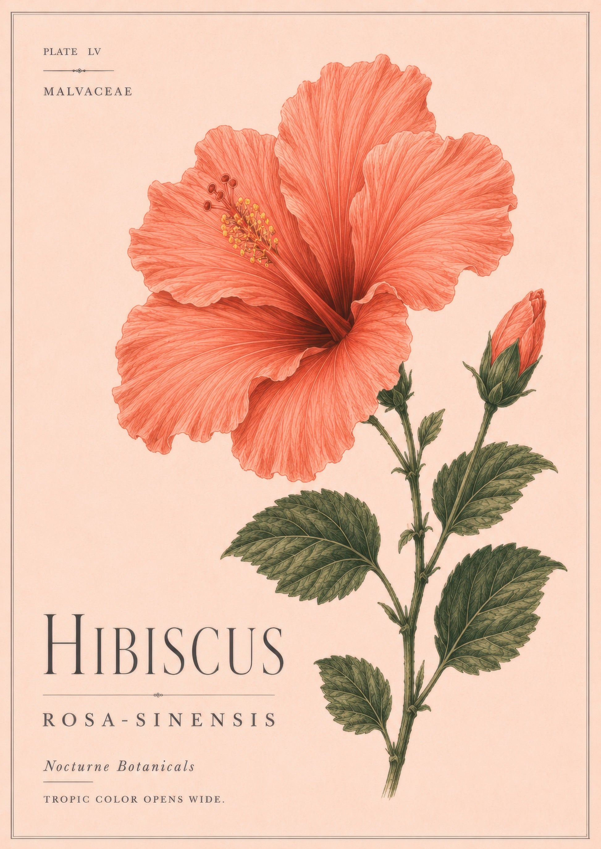 Mercan Yeşil Hibiscus Çiçeği Botanik Duvar Tablosu