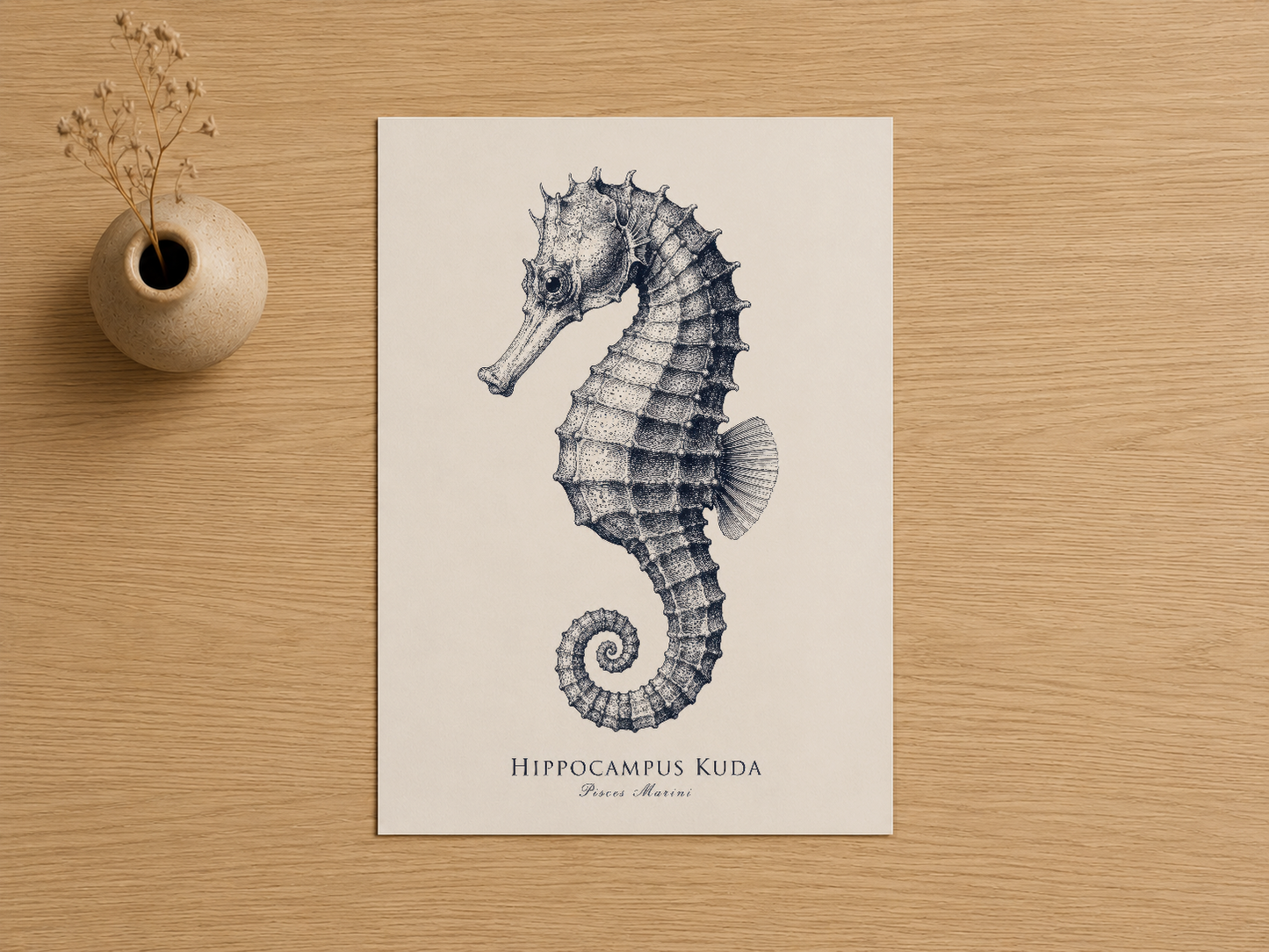Hippocampus Kuda baskısı, detaylı doğal tarih illüstrasyonuyla ağaç yüzeyde gösterilen sanat eseri.