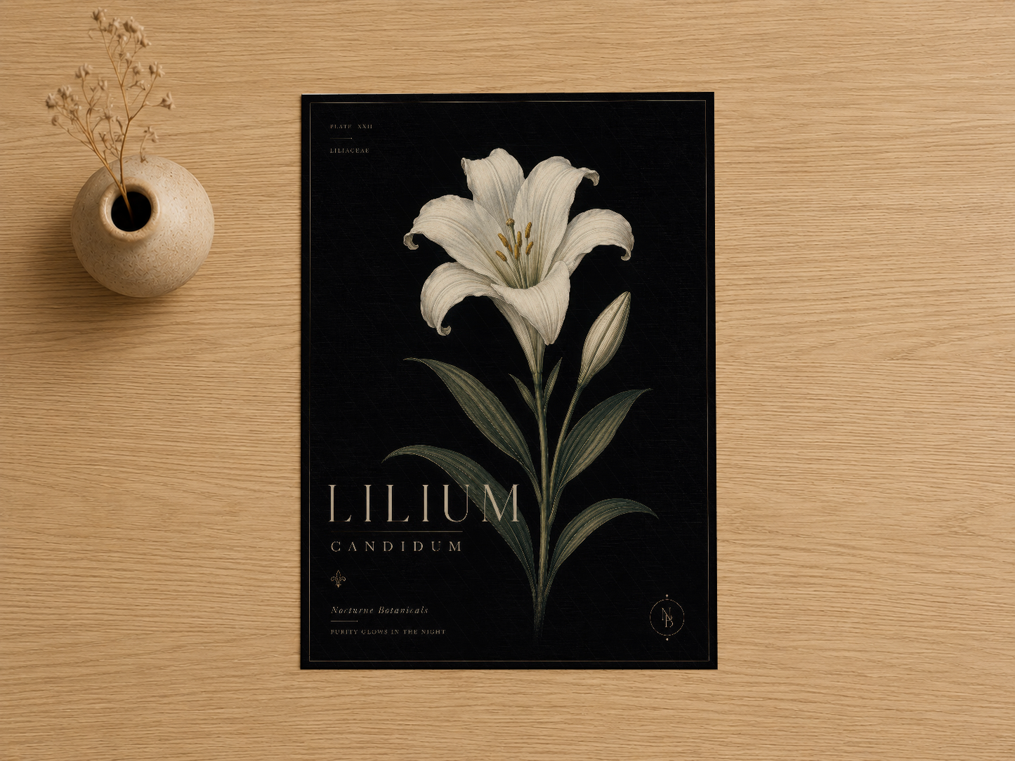 Lilium Candidum yazılı siyah çerçeveli botanik sanat tablosu, ahşap arka plan.