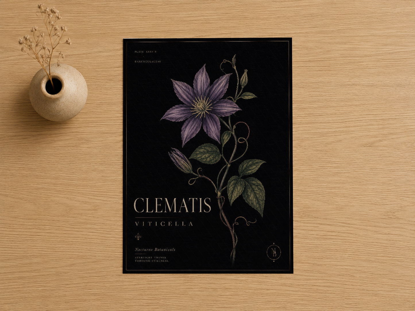 Clematis Viticella botanik tablosu, siyah arka plan üzerinde detaylı mor çiçek ve yaprak tasarımı.
