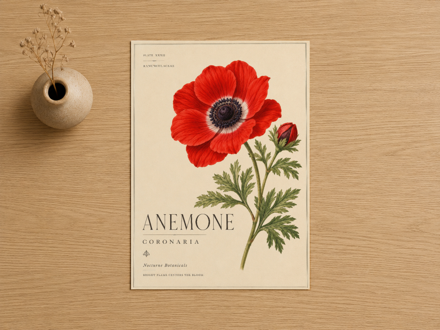 Detaylı yapraklar ve tomurcuklarıyla kırmızı anemon çiçeğinin klasik botanik sanat tablosu.