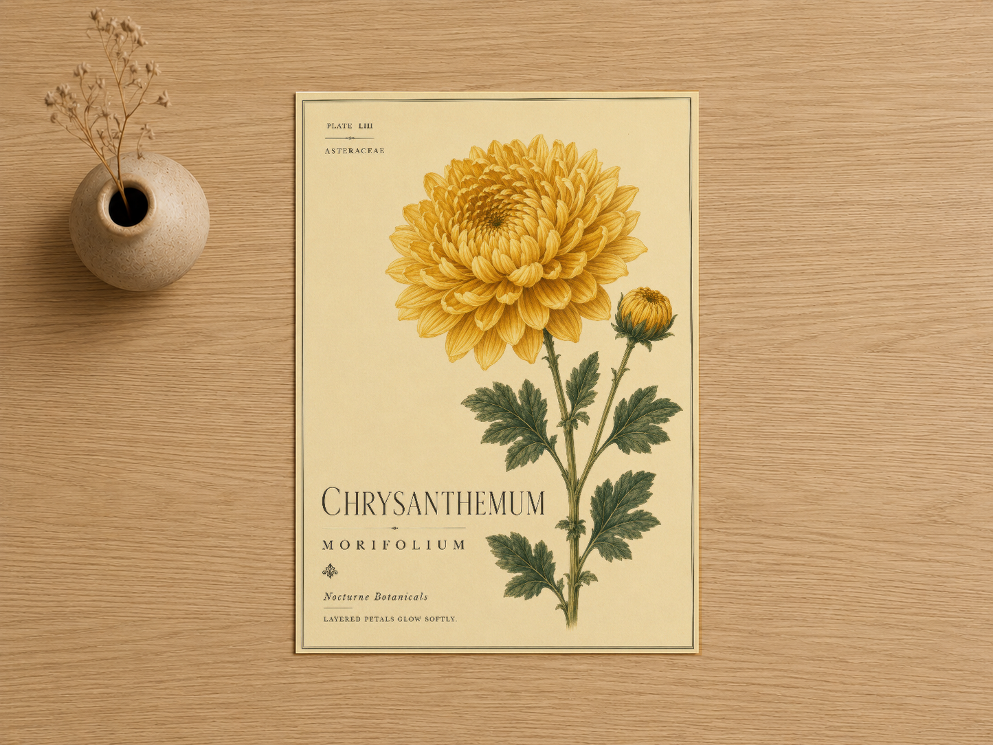 Detaylı sarı çiçek ve yapraklarıyla chrysanthemum morıfolium botanik sanat baskısı, ahşap masada.