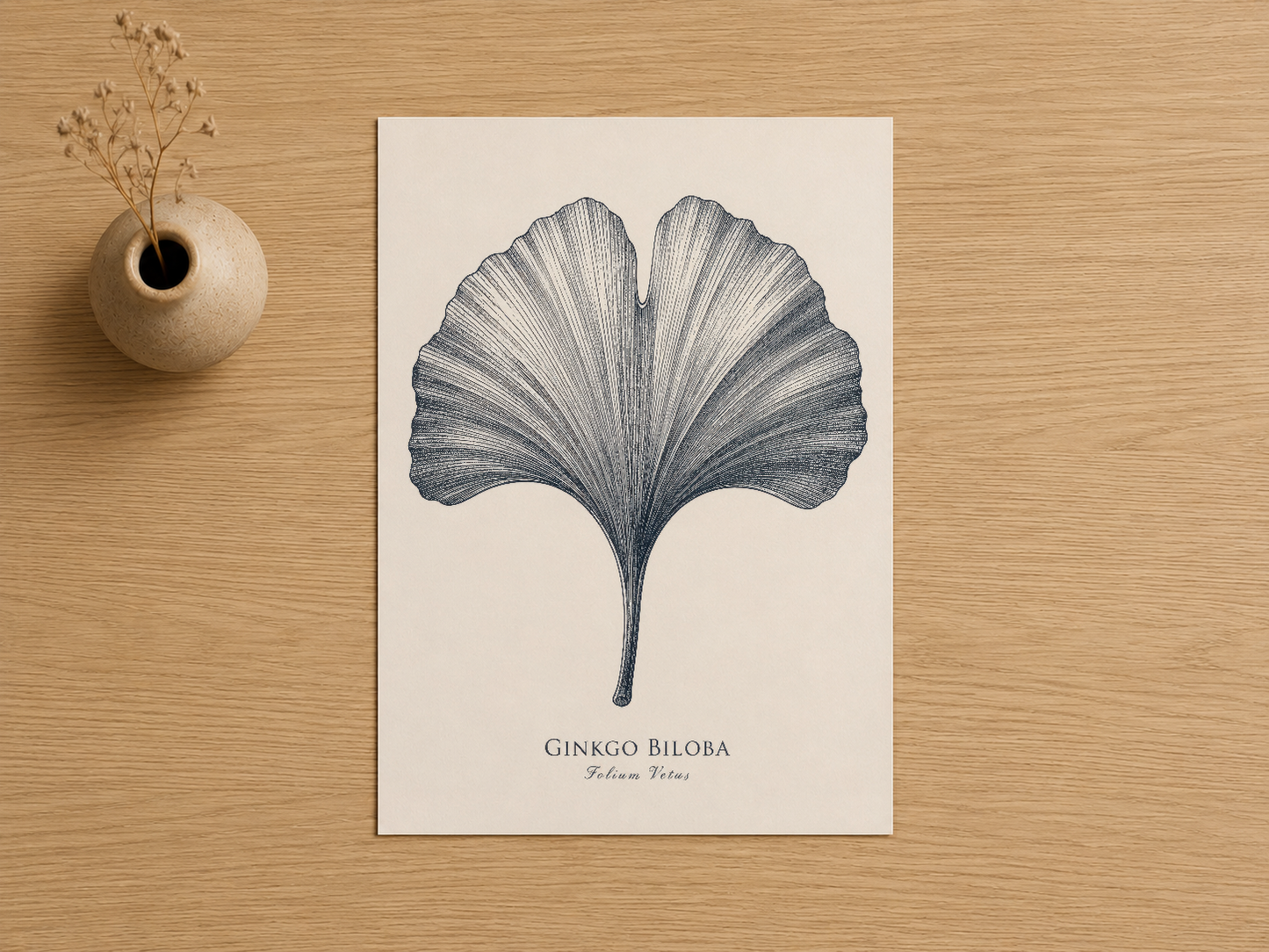 Ginkgo Biloba botanik sanat baskı, hassas çizgi işçiliğiyle doğal yaprak detayları.