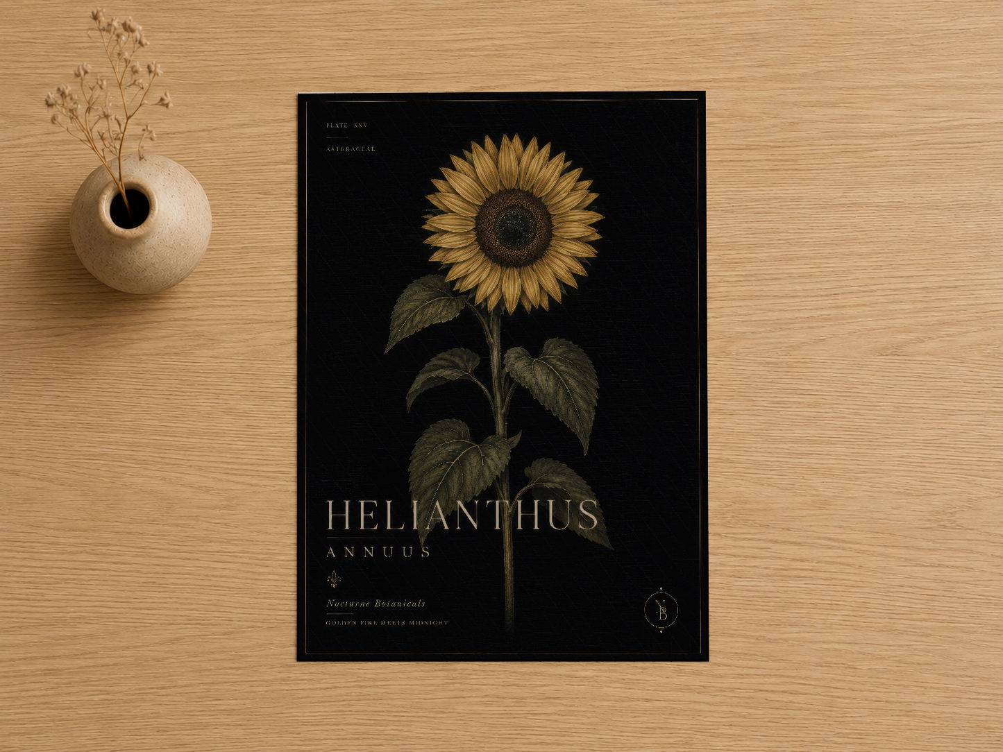 Helianthus Annuus yazılı siyah zeminde zarif altın sarısı ayçiçeği ilustrasyonlu sanat baskısı tablosu.