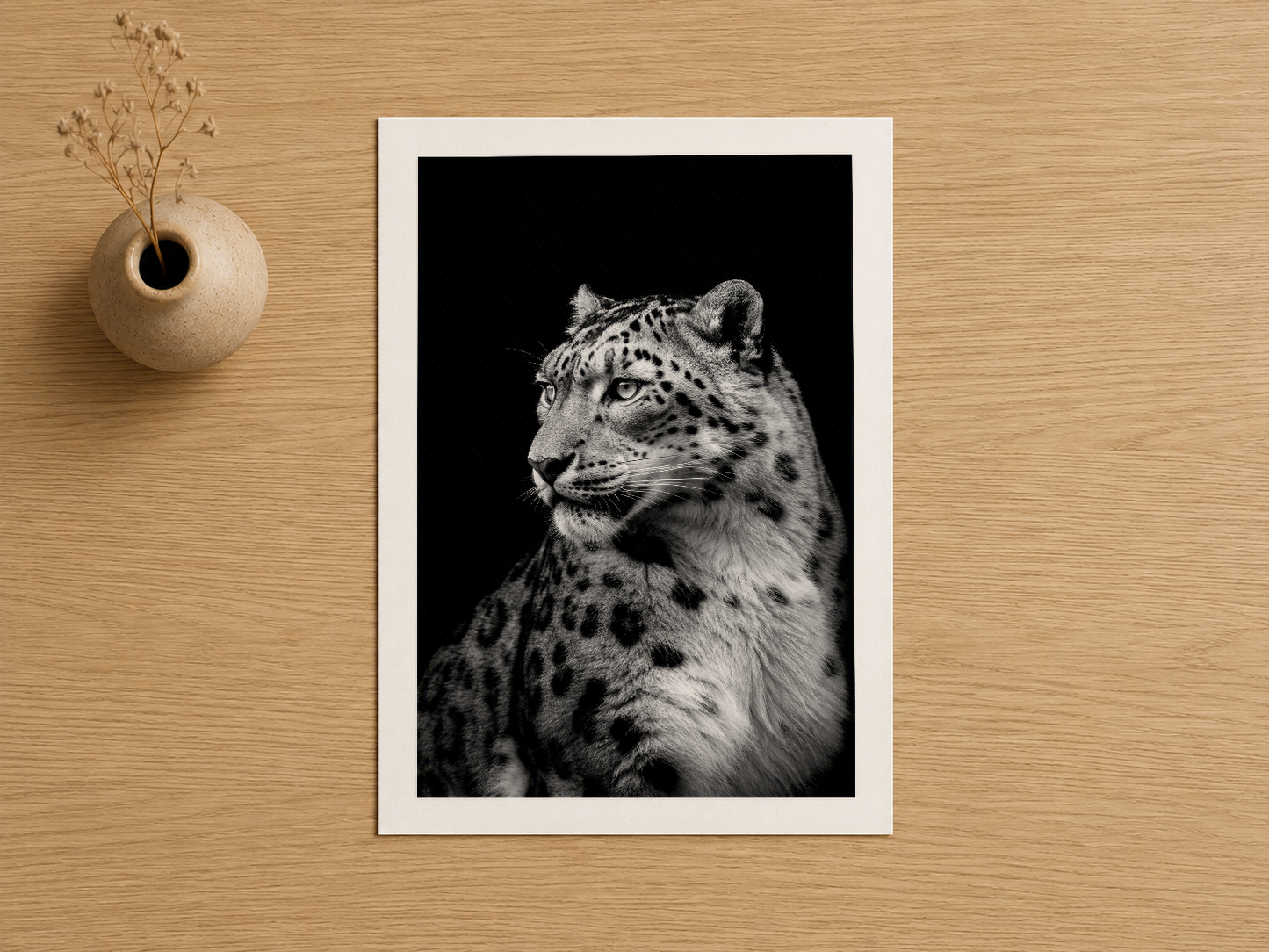 Siyah beyaz kar leoparı başı portresi, beyaz çerçevede, sanatsal yüksek kontrastlı fotoğraf baskı.