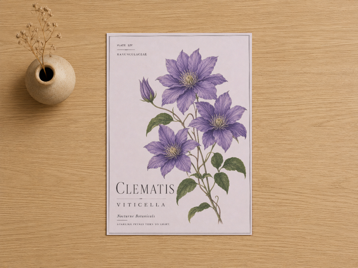 Vintage botanik tarzında, detaylı mor clematis çiçeklerinin resmedildiği sanat baskısı.