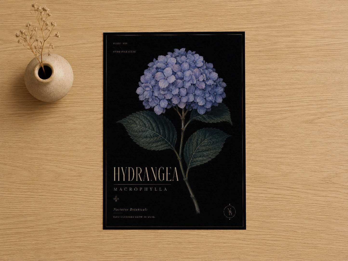 Siyah zeminde hassas şekilde çizilmiş açık mavi hortensia çiçeğinin botanik sanat baskısı.