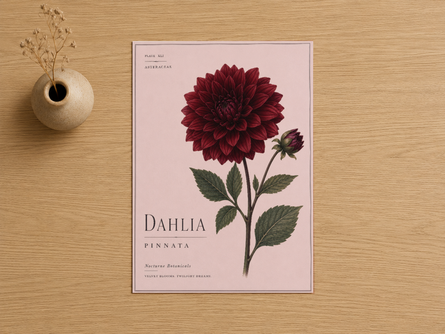 Pembe zemin üzerine botanik detaylarıyla çizilmiş, koyu kırmızı bir Dahlia çiçeğinin sanat baskısı.