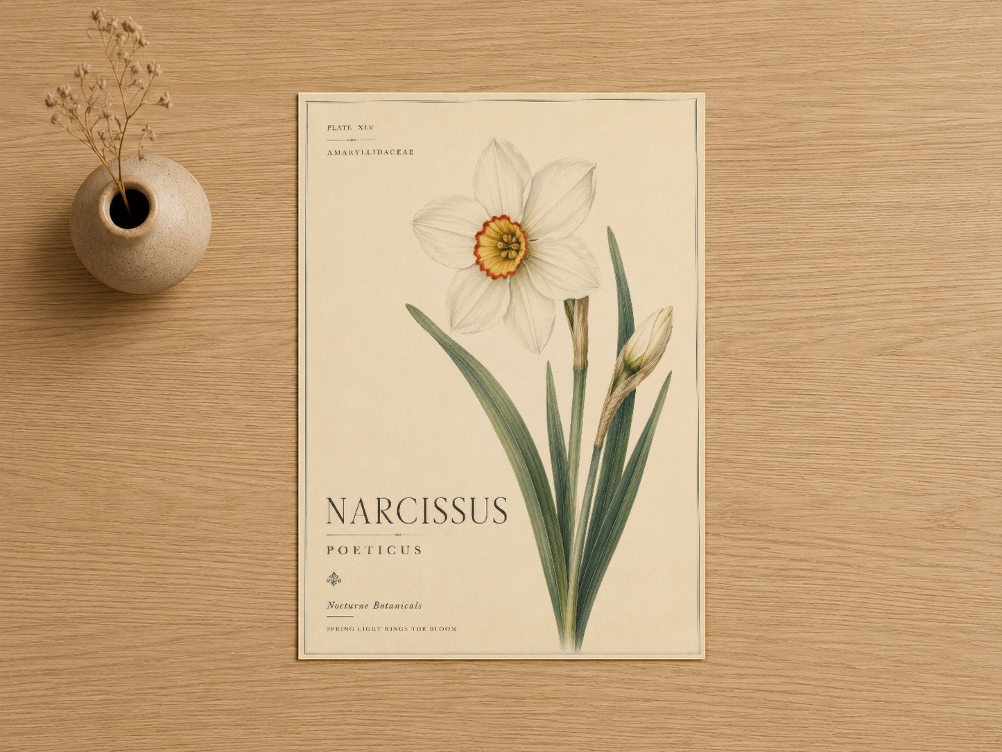 Vintage botanik tarzında Narcissus Poeticus tablosu, ahşap çerçeve ve doğal bej zemin üzerine basılı.