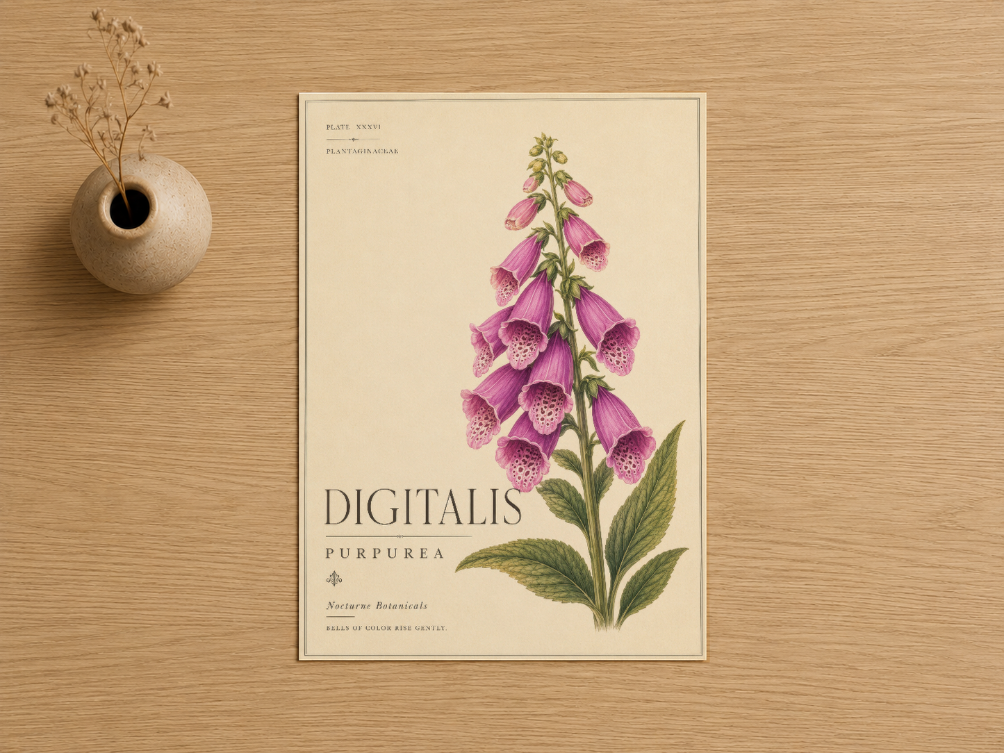 Botanik tarzı Digitalis Purpurea posteri, detaylı çiçek anatomiisiyle zarif tasarım.