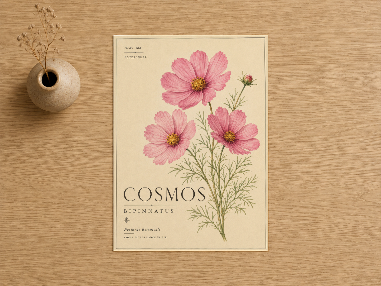 Pembe cosmos çiçekleri tasvir eden botanik sanat baskısı, klasik krem zemin üzerinde.