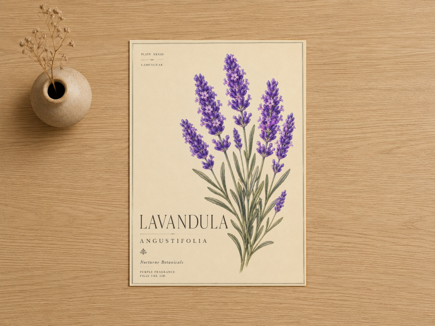 Lavandula angustifolia botanik görseli, klasik krem arka fonda, beyaz çerçeve içinde sunuluyor.