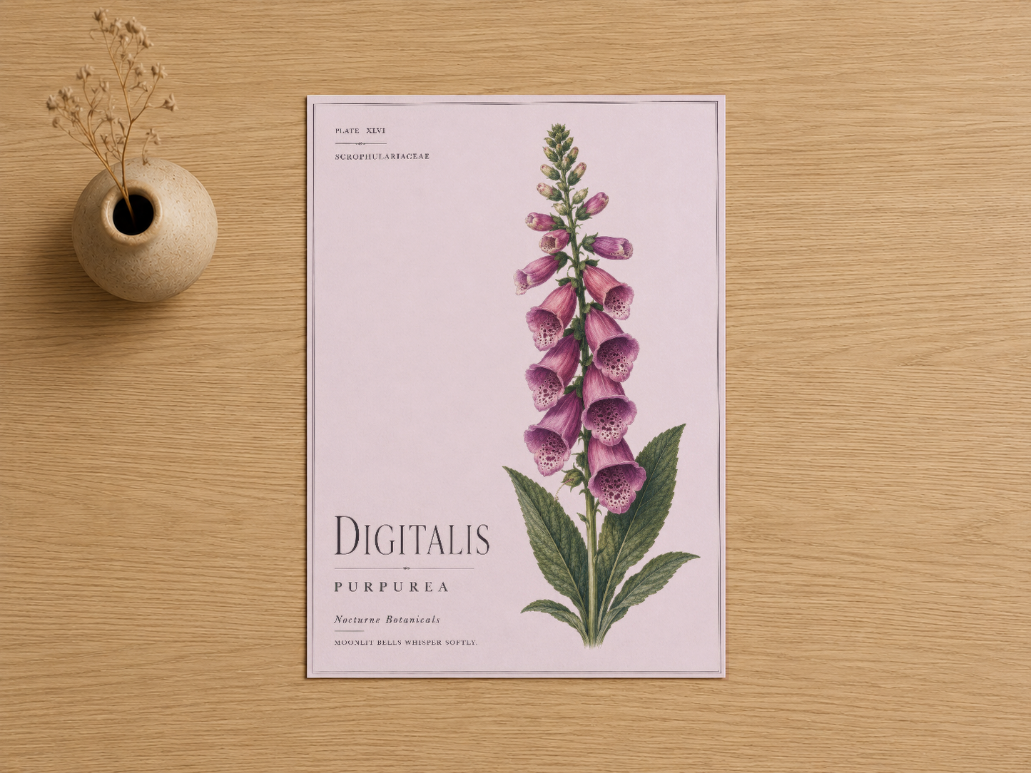 Botanik tablo olarak digitalis purpurea türü, leylak arka fonda illüstratif stil ile çıktı.