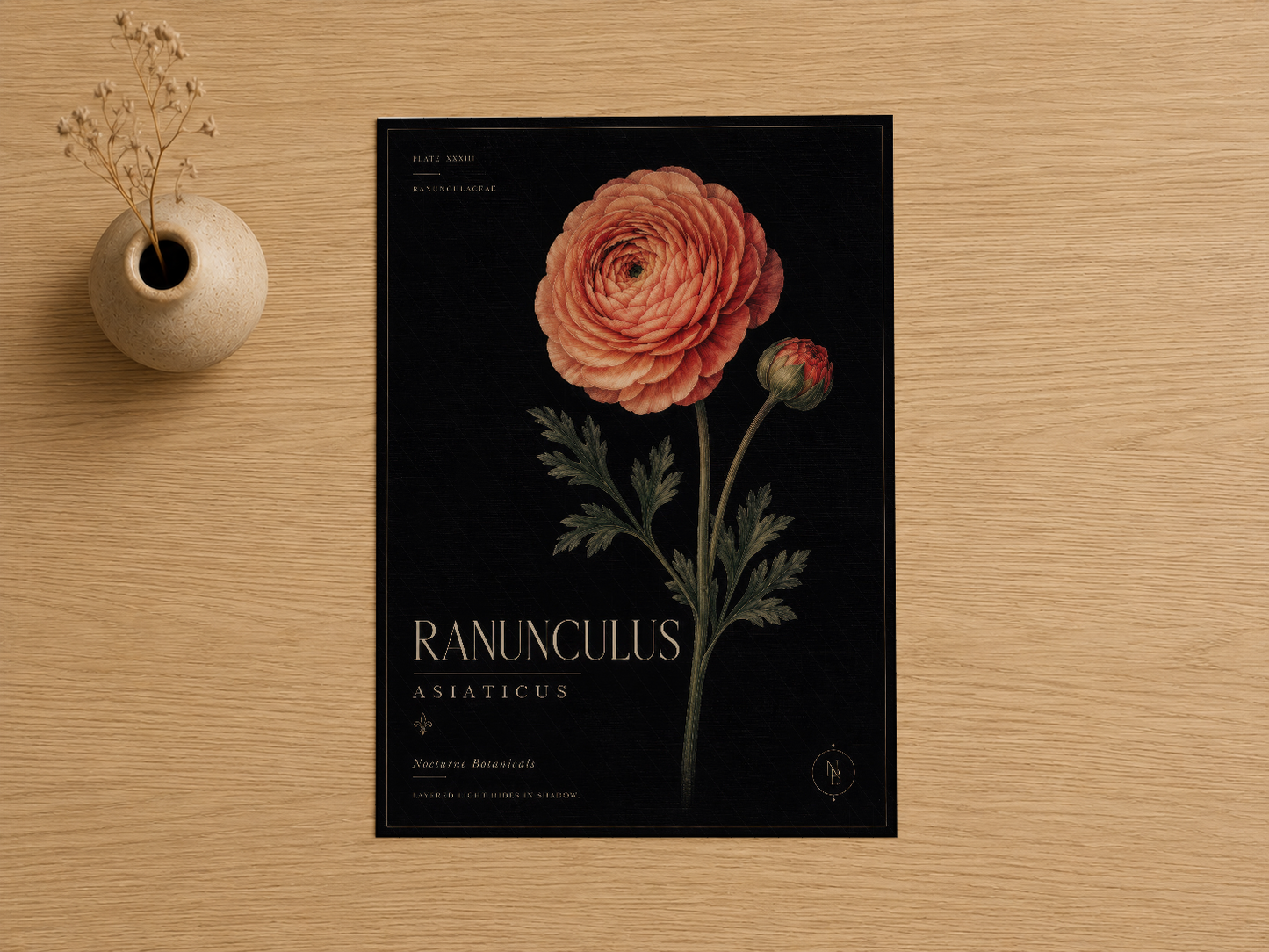 Botanik tarzda, siyah fonda detaylı mercan rengi Ranunculus çiçeği ve yaprakları gösteren poster baskısı.