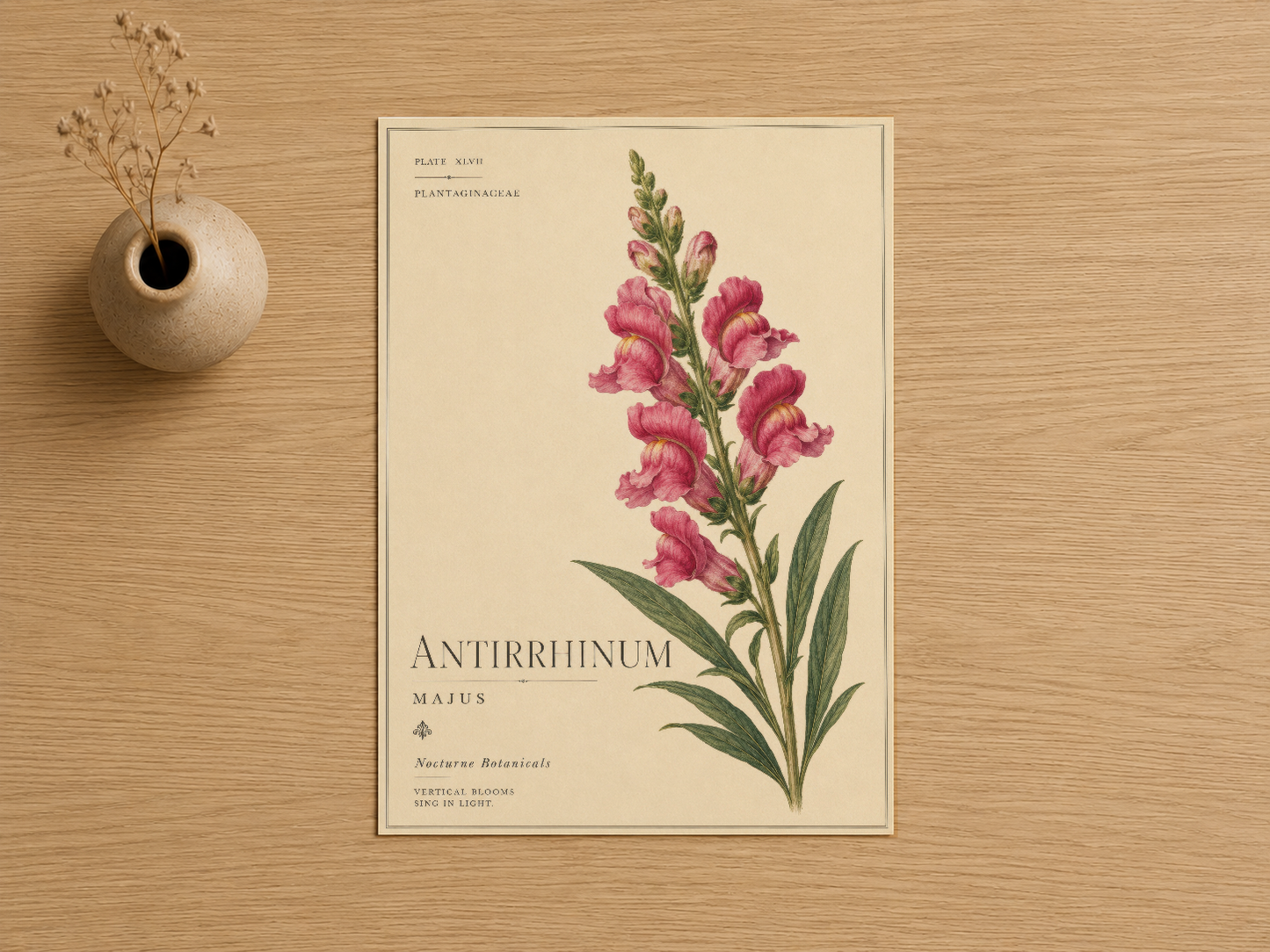 Pembe antirrhinum çiçeğinin el yapımı botanik illüstrasyonu, klasik ve sanatsal tasarımıyla duvar sanatı.