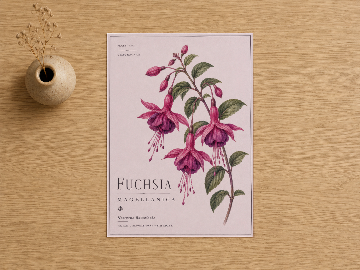 Fuchsia magellanica botanik çiçek tablosu, soft pembe zemin üzerinde zarif sanat baskısı ve botanical detaylar.
