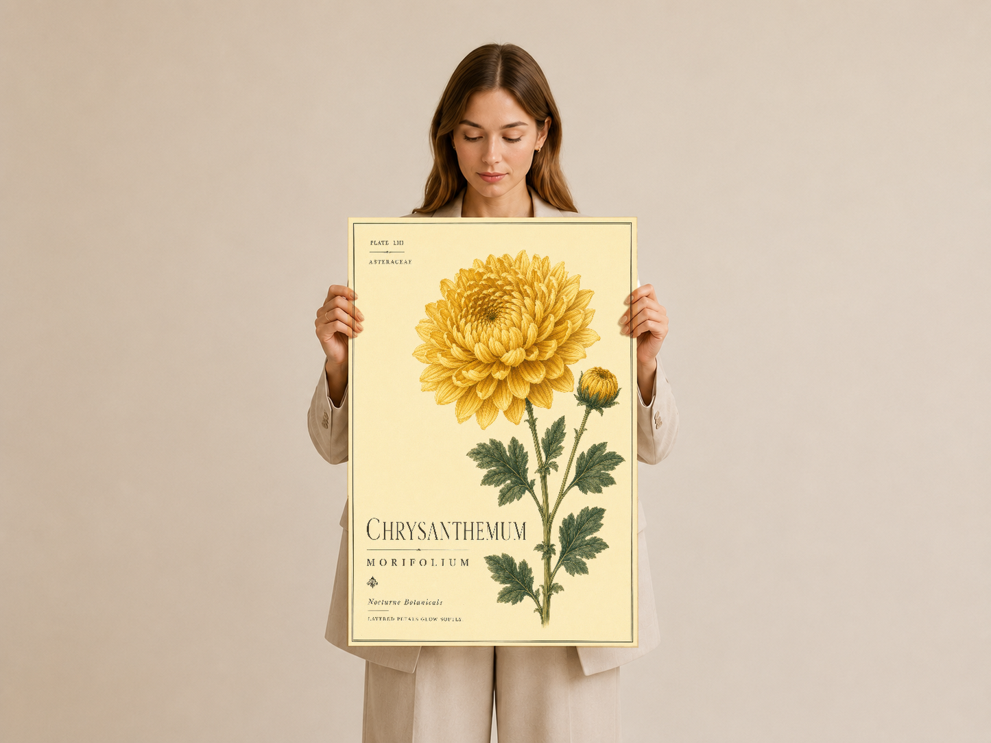 Vintage stil chrysanthemum posterinin siyah çerçevesi kız tarafından tutuluyor, botanik illüstrasyon.