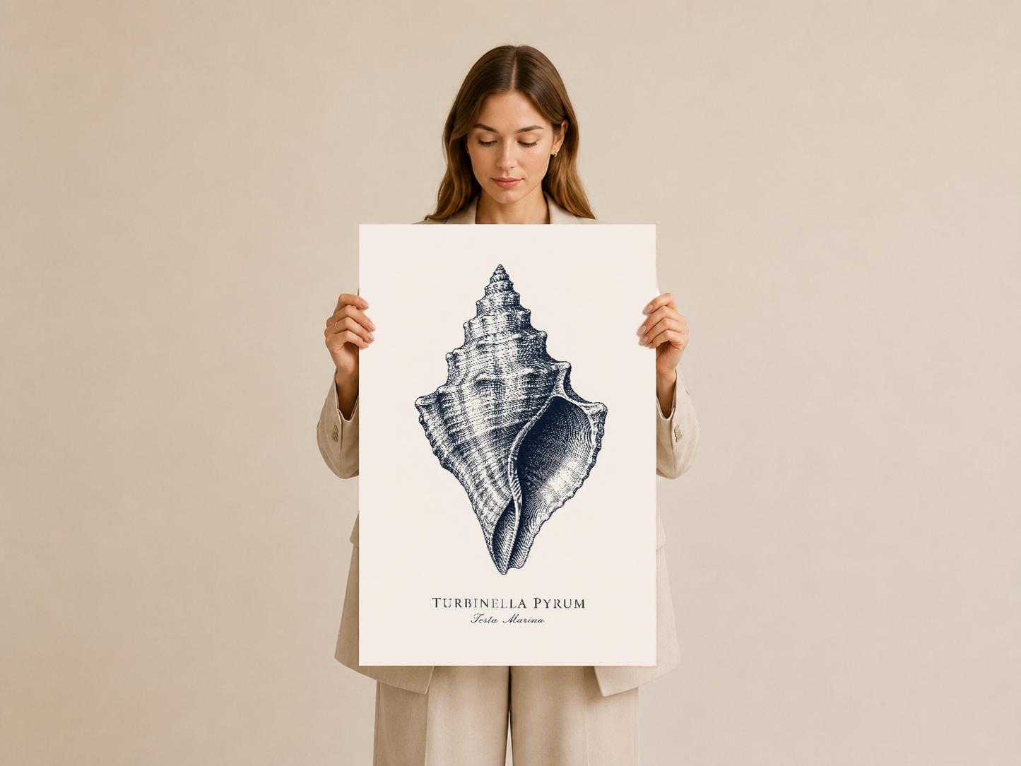 Turritella Pyrum seashell sanat baskısı, kadın tarafından tutularak gösterilen portatif sunum.