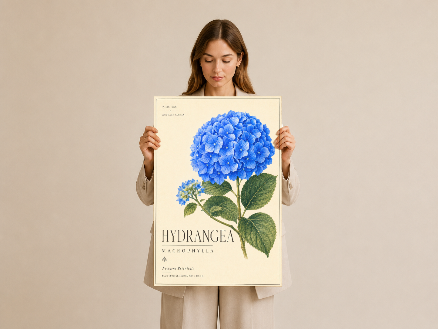 Mavi hortensia sanat baskısı, klasik botanik illüstrasyon stilinde çerçeveli tasarım.