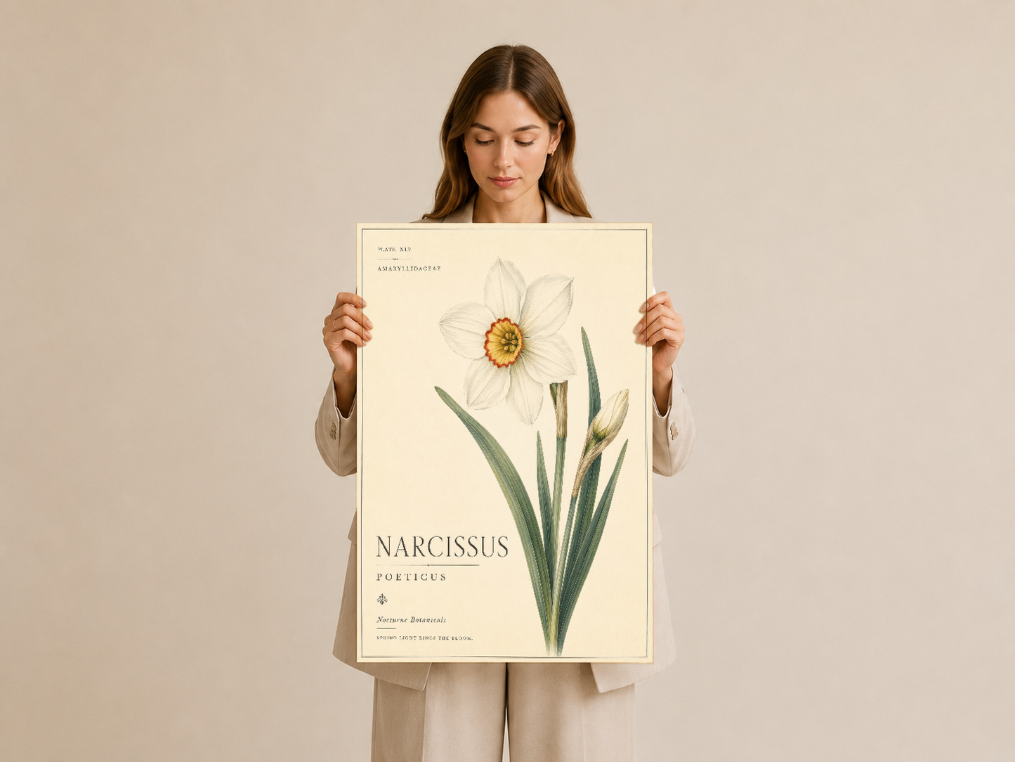 Narcissus Poeticus duvar tablosu, elle tutulmuş şekilde sergileniyor, botanik çizim detayları net görünüyor.