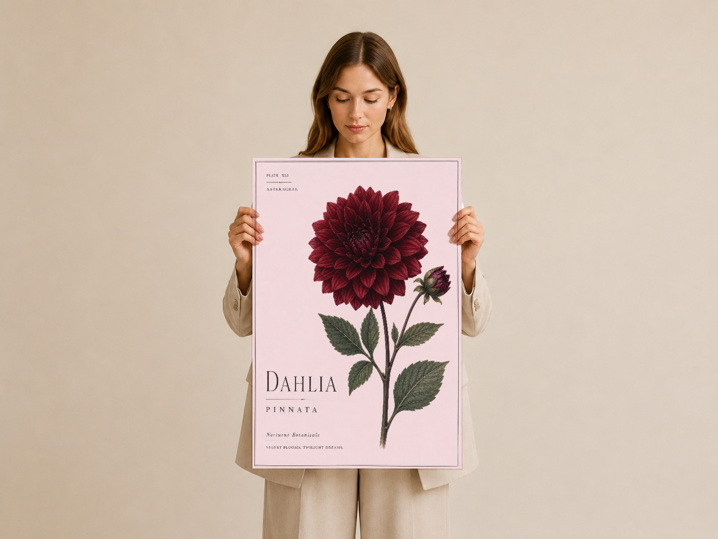 Bir kadın tarafından tutulan, pembe arka planlı Dahlia Pinnata botanik poster baskısı.