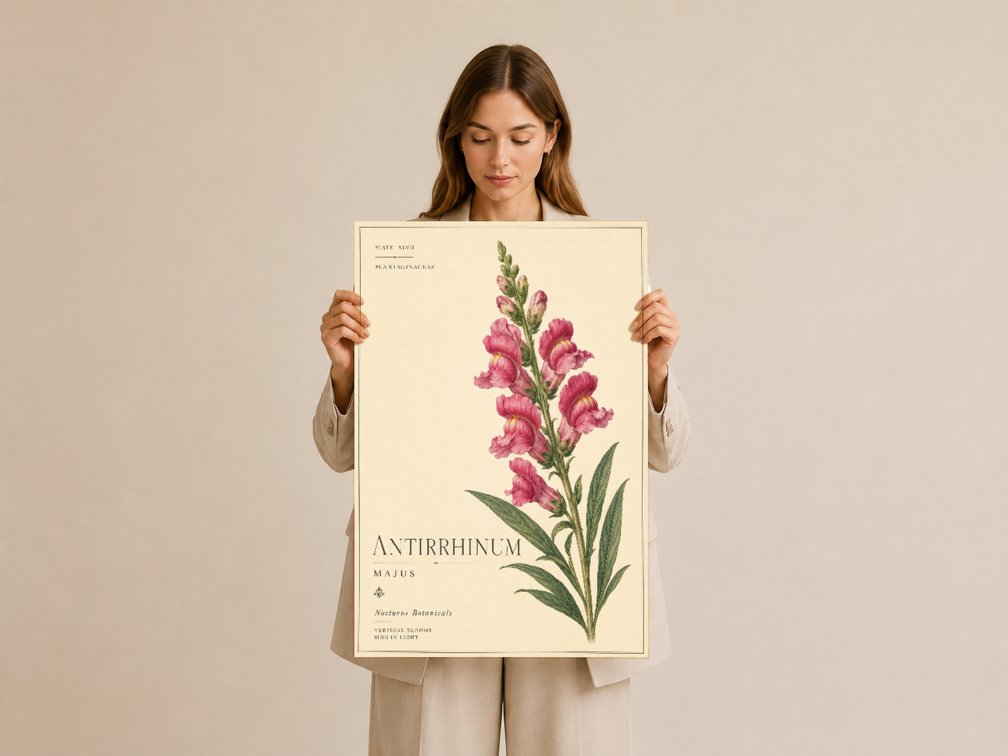 Botanik temalı poster, vintage bilimsel stil ile tasarlanmış antirrhinum majus baskısı.