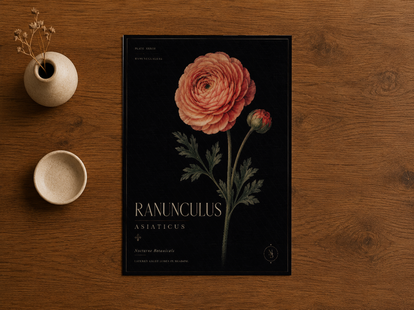 Zarif Ranunculus çiçek tasarımı, siyah fonda kontrastlı mercan tonu ile botanik tarzında poster.