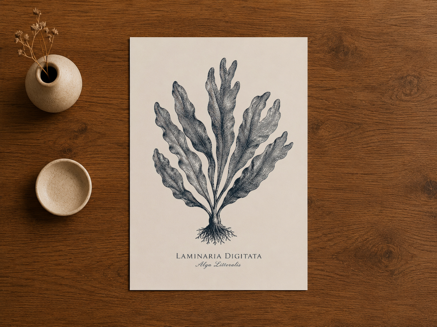 Laminaria Digitata poster, ahşap masa üstünde sergilenen, seramik aksesuarlarla kompozisyon.
