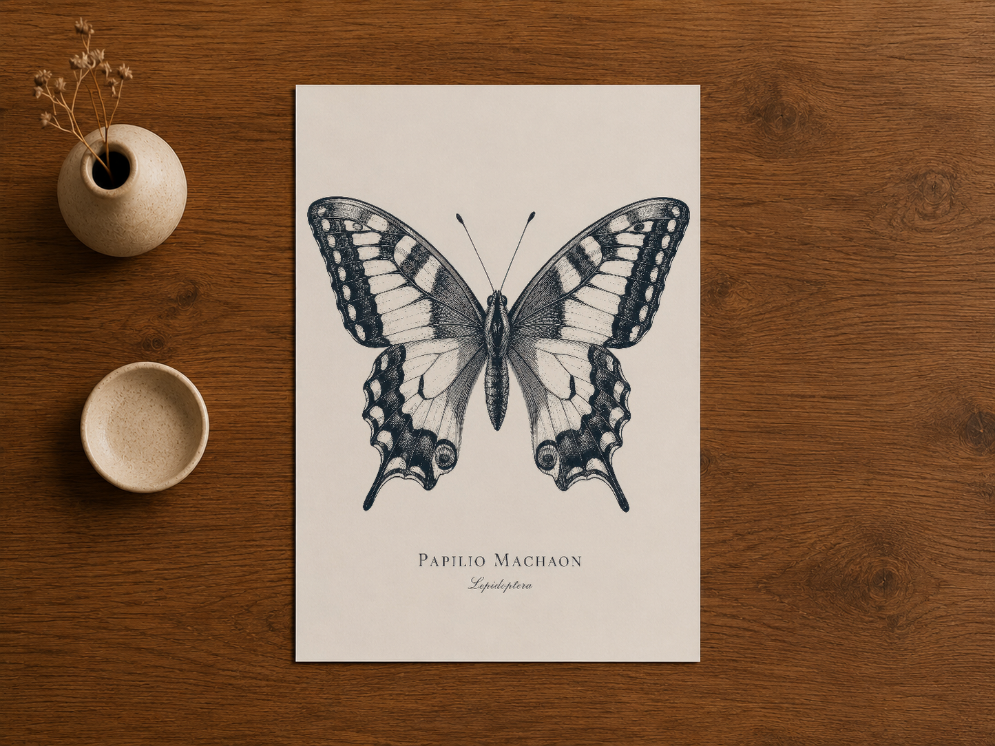 Papilio Machaon kelebeği tasvirli baskı, ahşap masa üzerinde doğal dekorasyon elemanlarıyla.